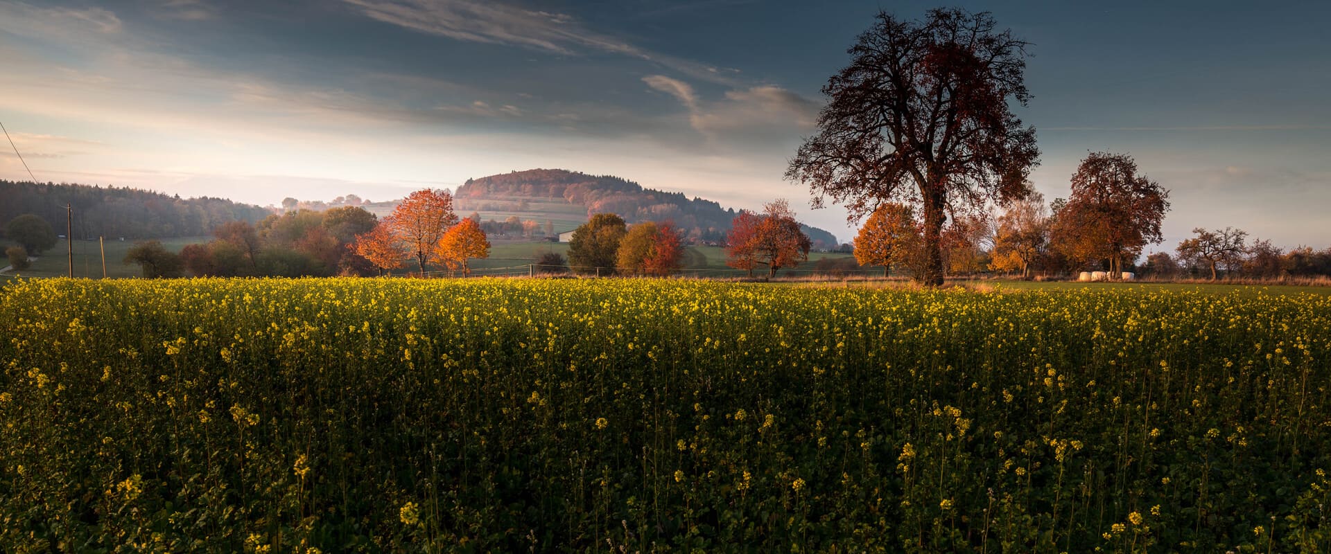 Blick auf den Katzenbuckel im herbstlichen Abendlicht