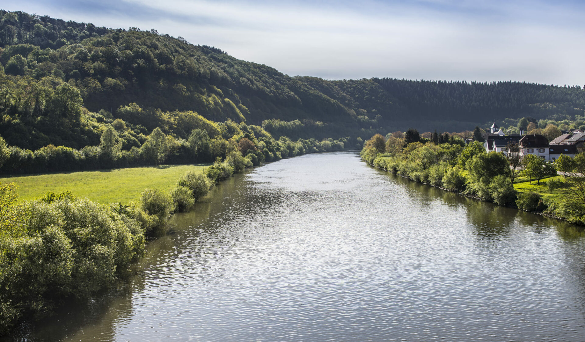 Neckar mit Blick auf Waldhang