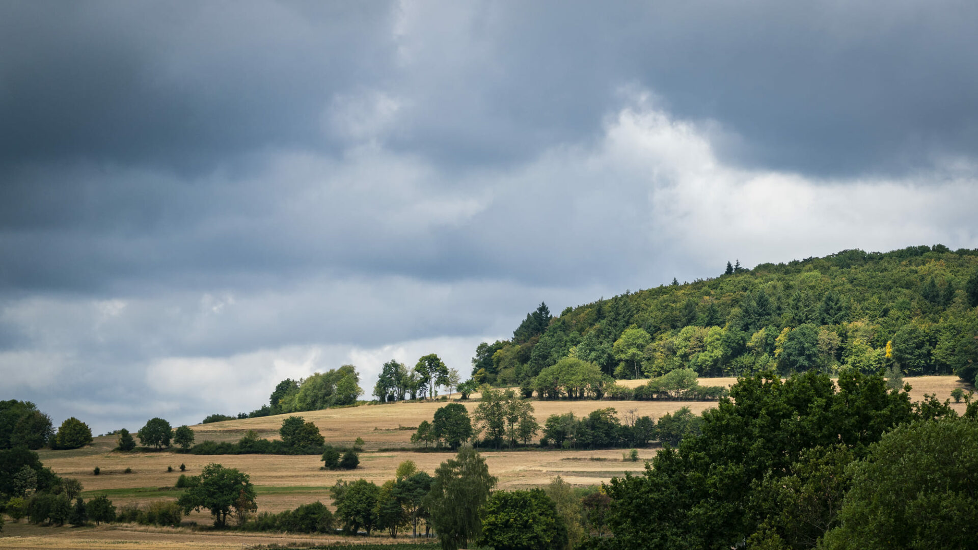 Blick auf den Katzenbuckel, dem höchsten Berg im Odenwald.