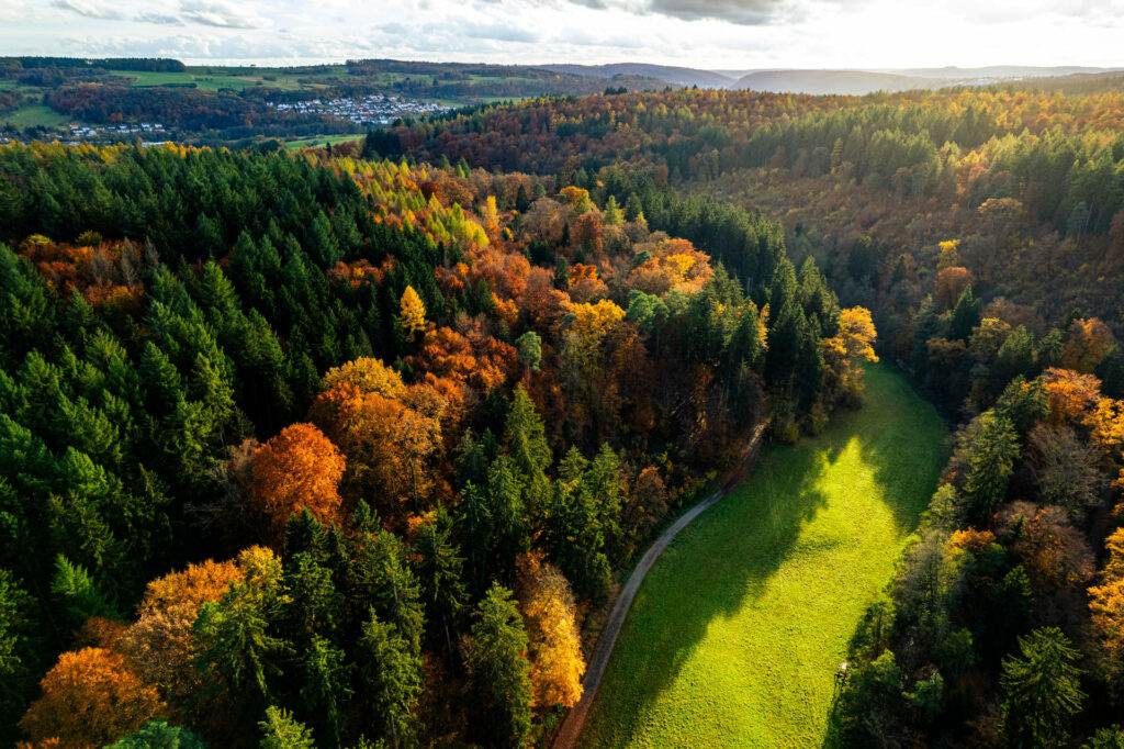 Herbstlicher Odenwald von oben in der Nähe von Weinheim