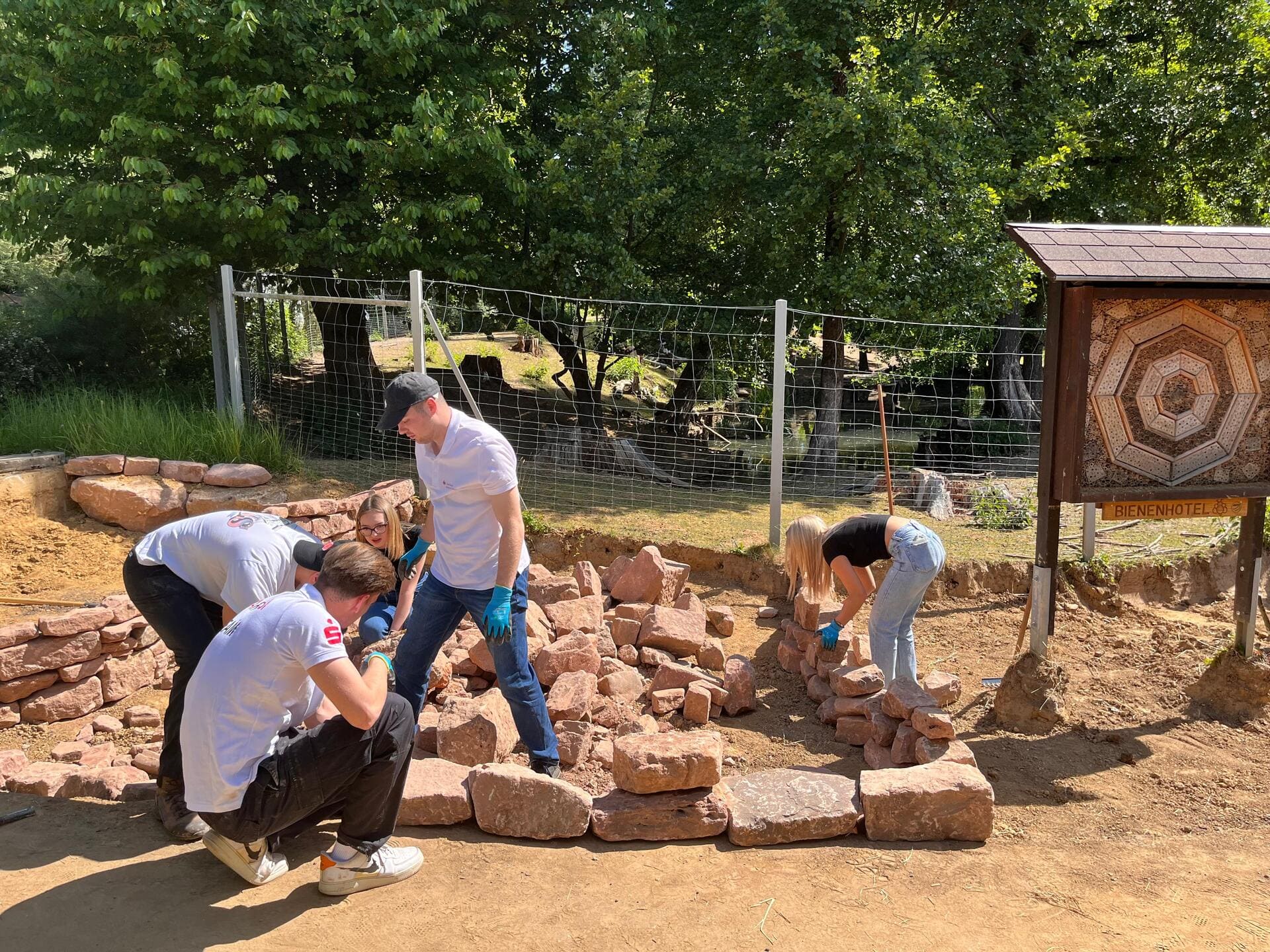 Azubi Aktion im Wildpark Schwarzach