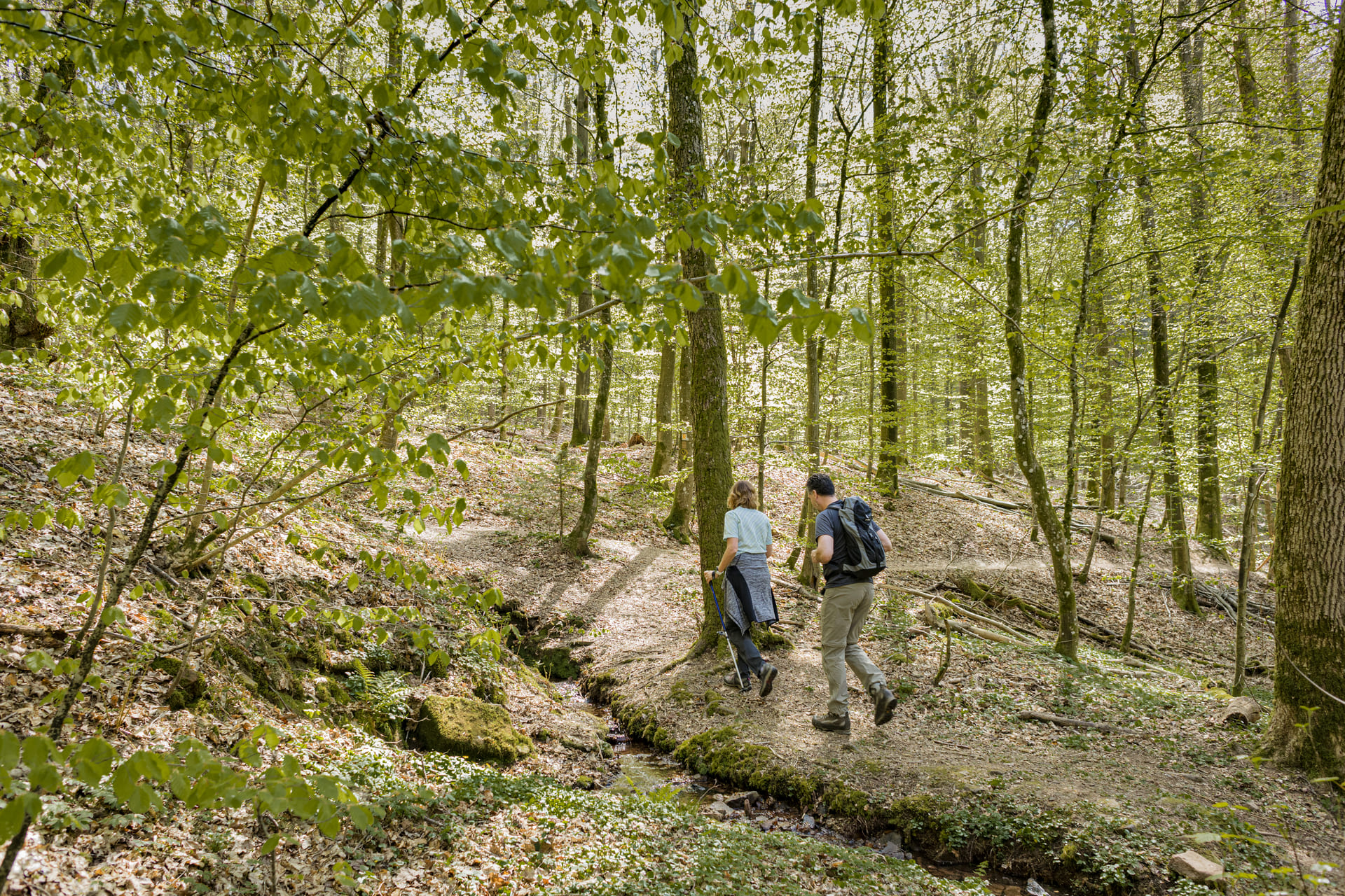 Zwei Wanderer im Wald auf dem Neckarsteig im Frühjahr