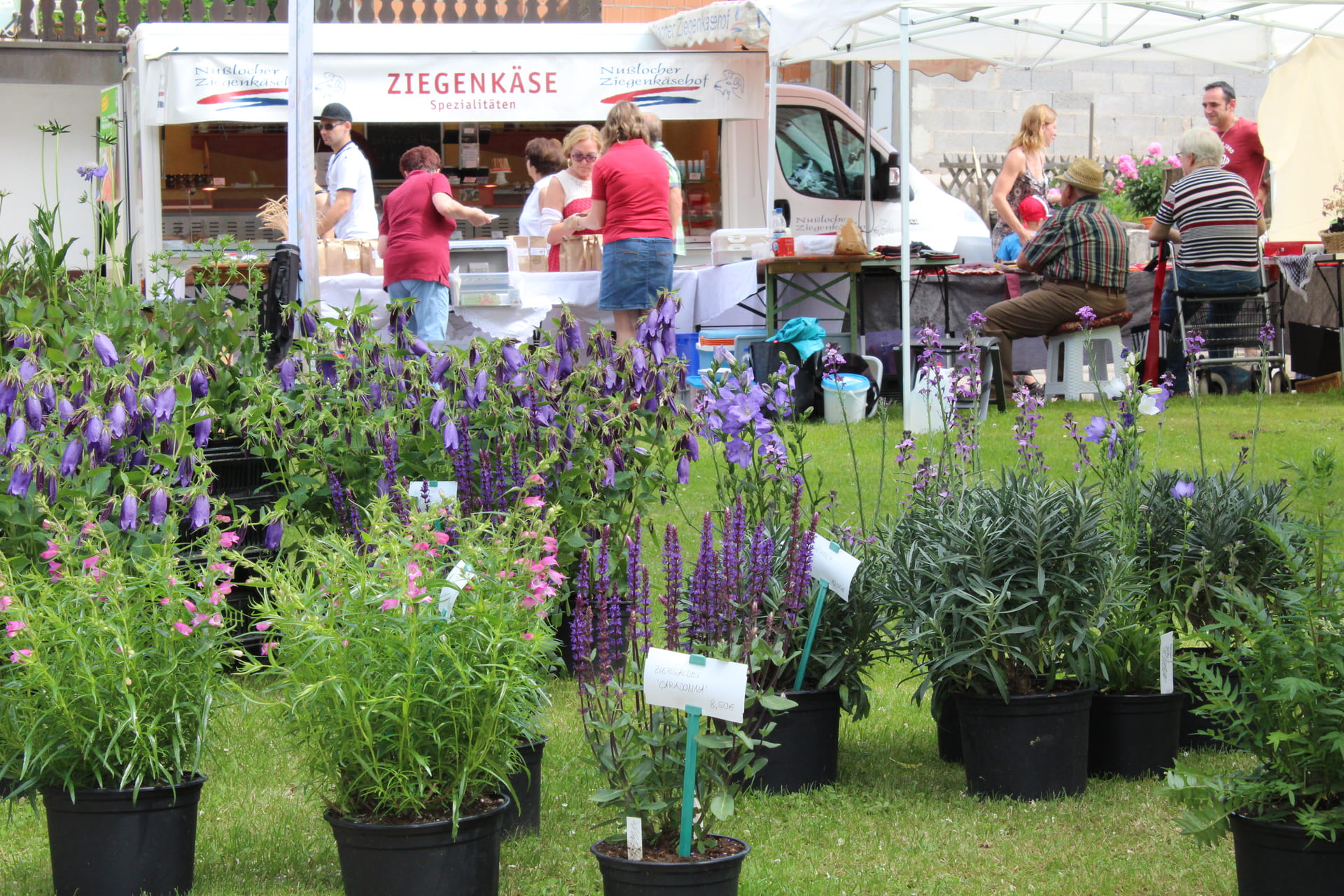 Blick auf das Marktgeschehen mit Pflanzen im Vordergrund