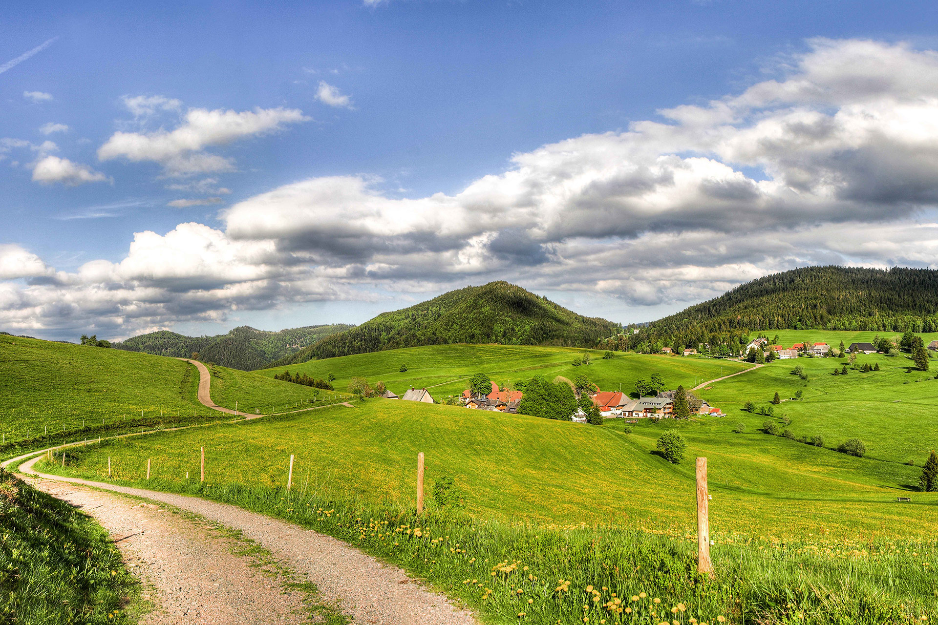 Landschaft im Südschwarzwald