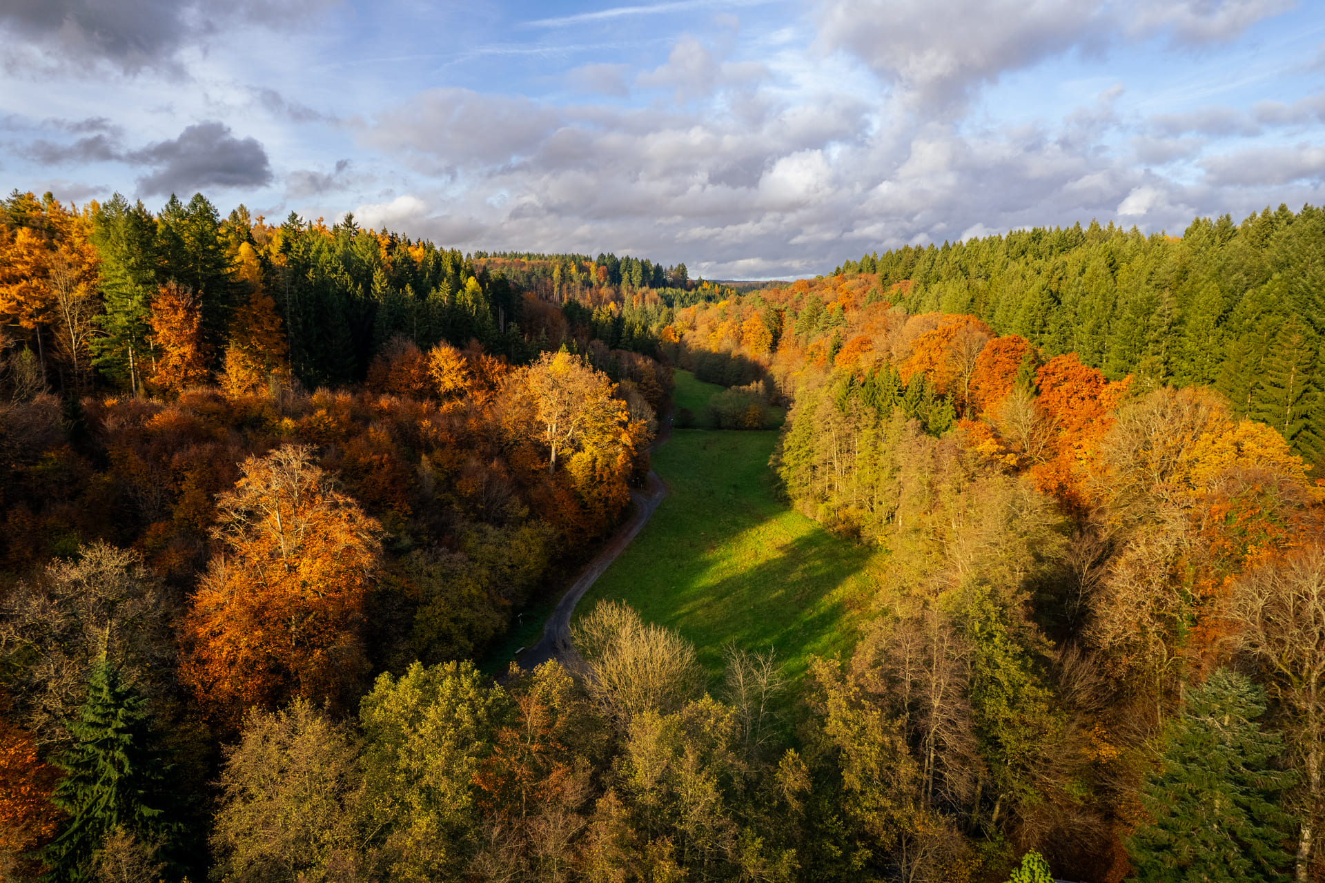 Herbstwald mit Lichtung aus der Drohnenperspektive