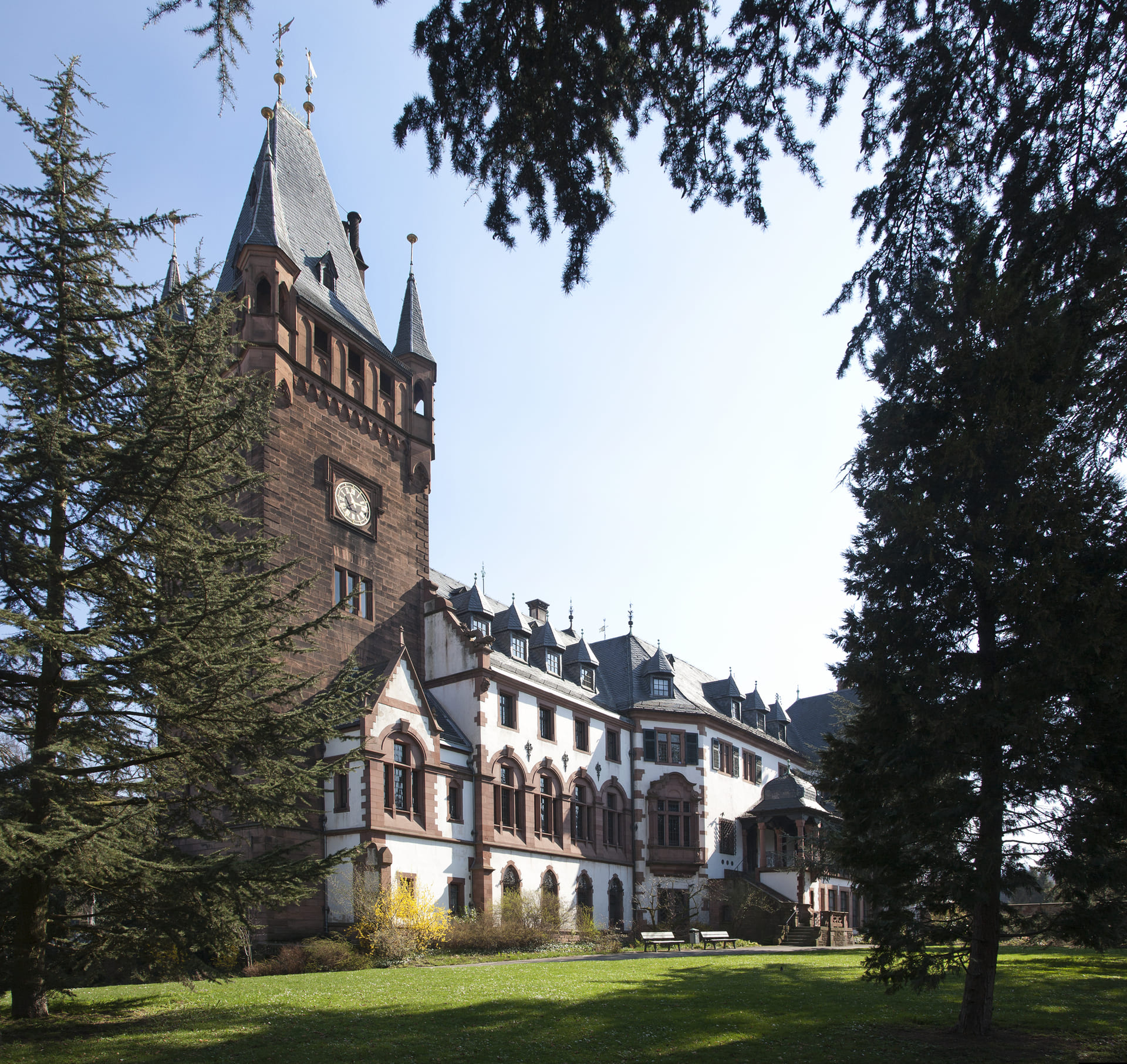 Blick auf das Weinheimer Schloss