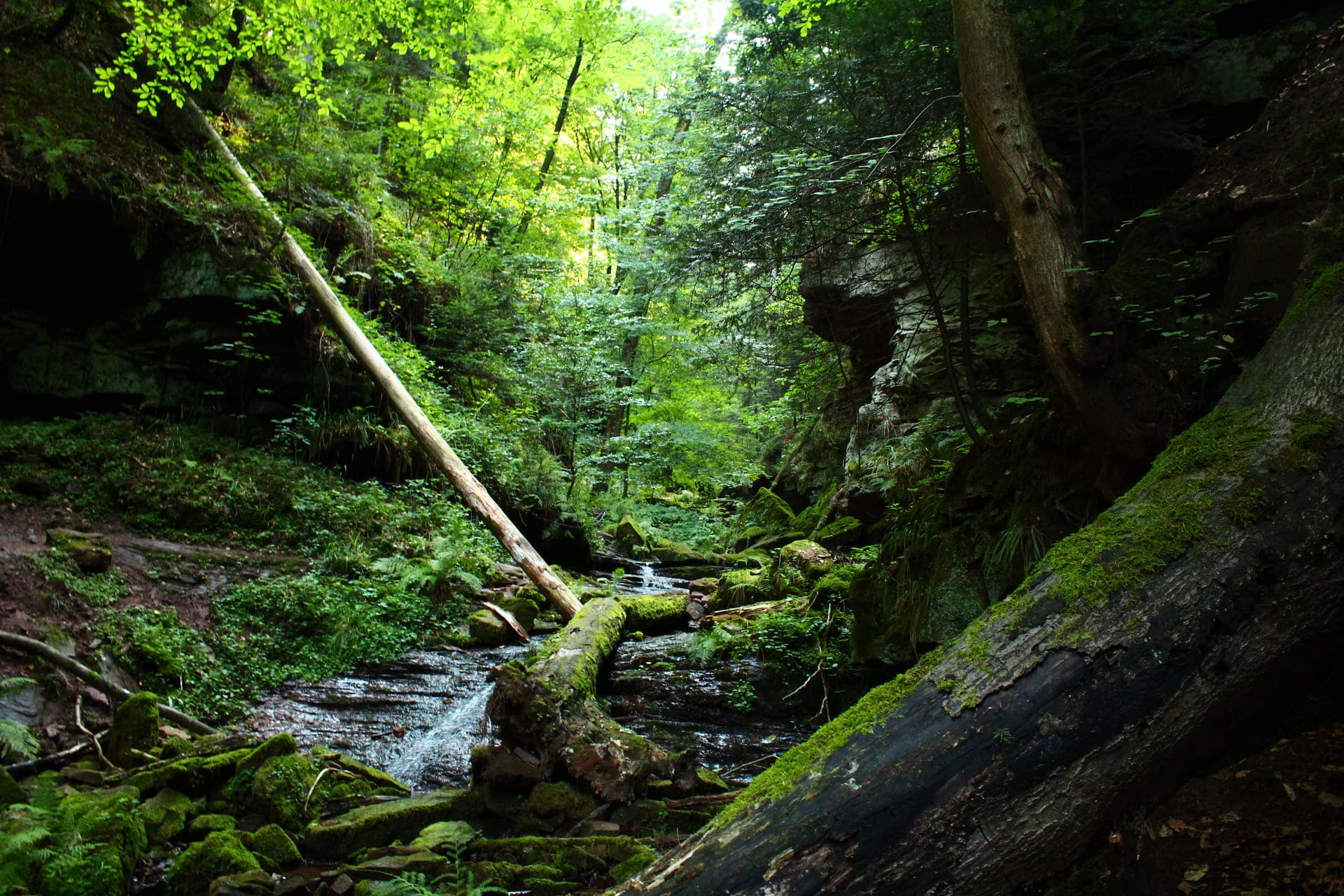 Mystische Wolfsschlucht mit Bächlein