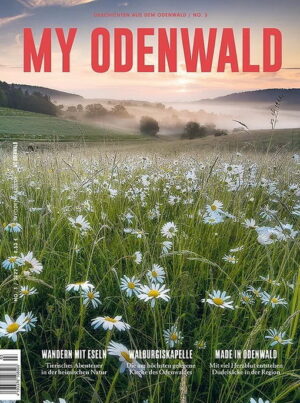 My Odenwald 3