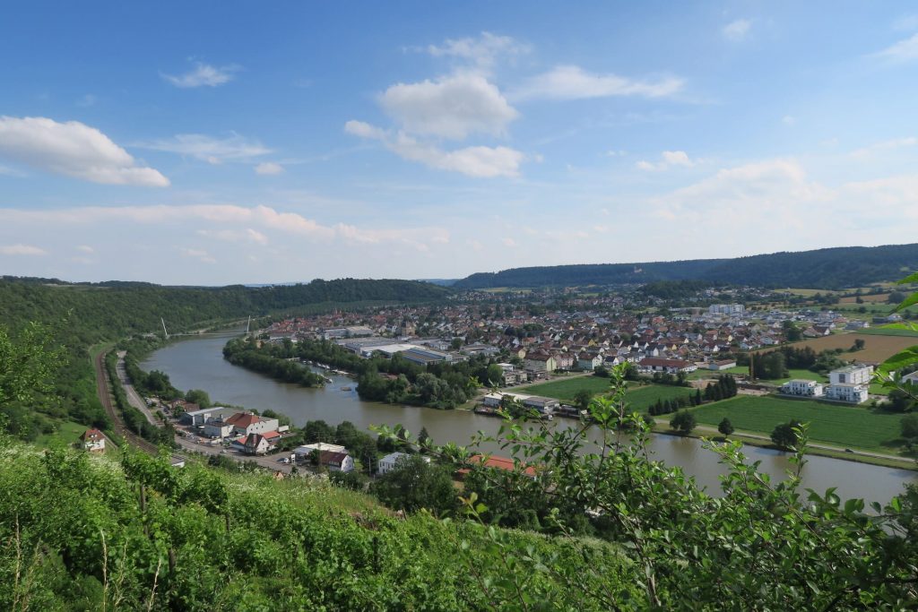 Blick auf den Neckar von der Burg Hornberg